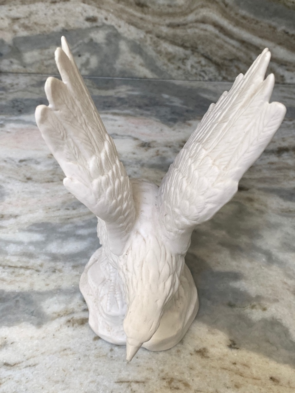 White Eagle on Rock #birds #vintage #eagle collectors